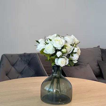 Teo - Center With Free Parking Apartment Baska Voda